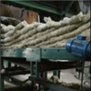 �r�����a(ch��n)��