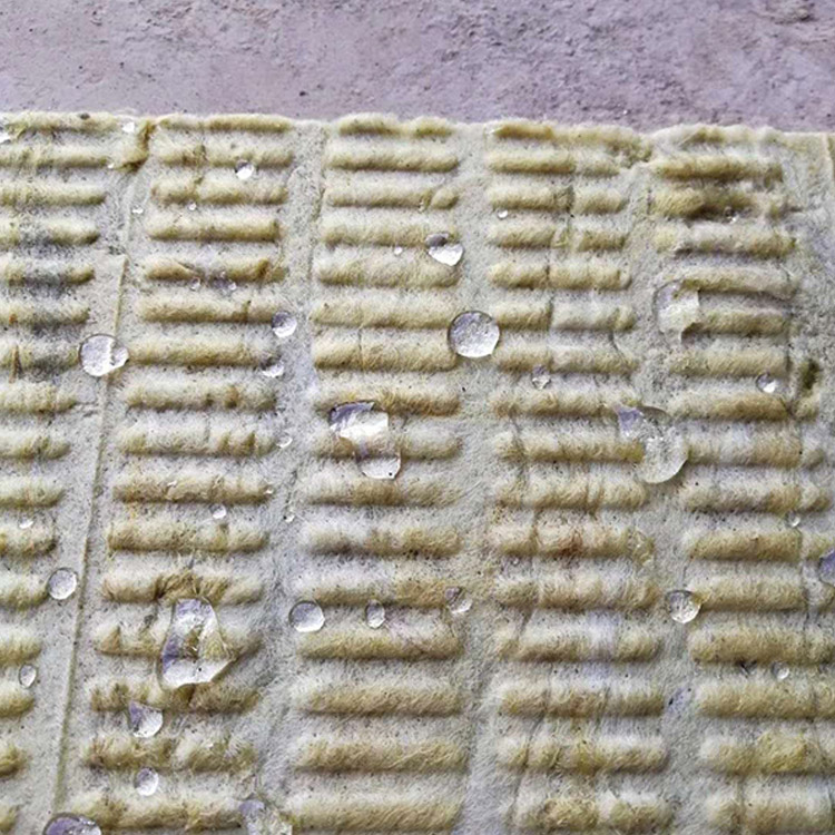 ��־�_(d��)�r�ް�